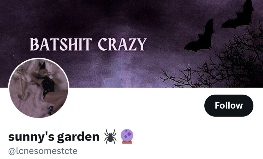 sunny's garden 🕷🔮 tweet media
