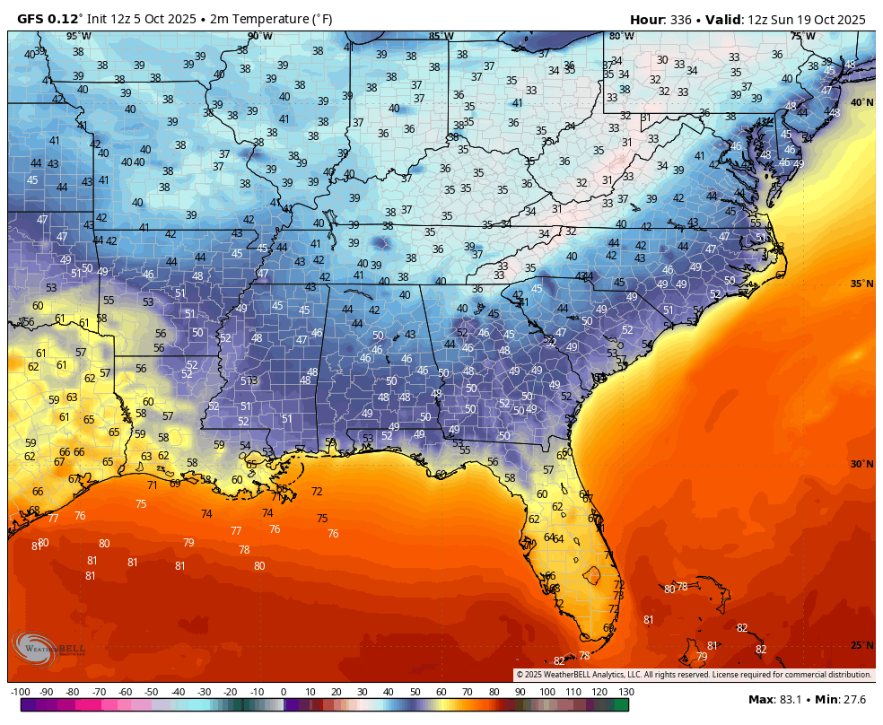Chase Bryant tweet media