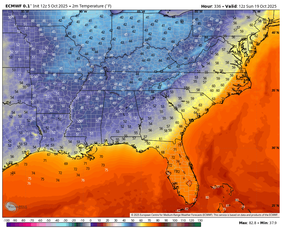 Chase Bryant tweet media