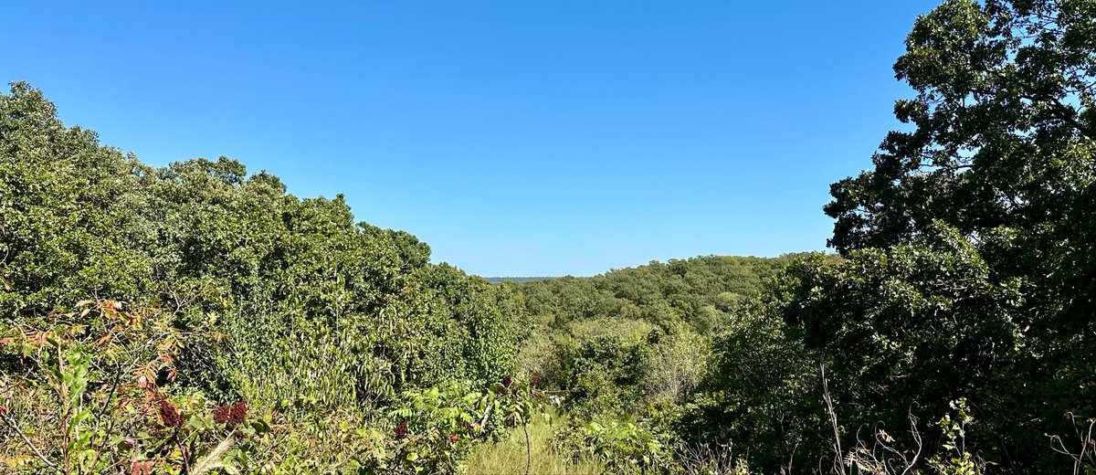 So close to fall - I can feel it (!!)
😱 🍁🍂
#Tulsa #Oklahoma #fallvibes #hiking #outdooradventures