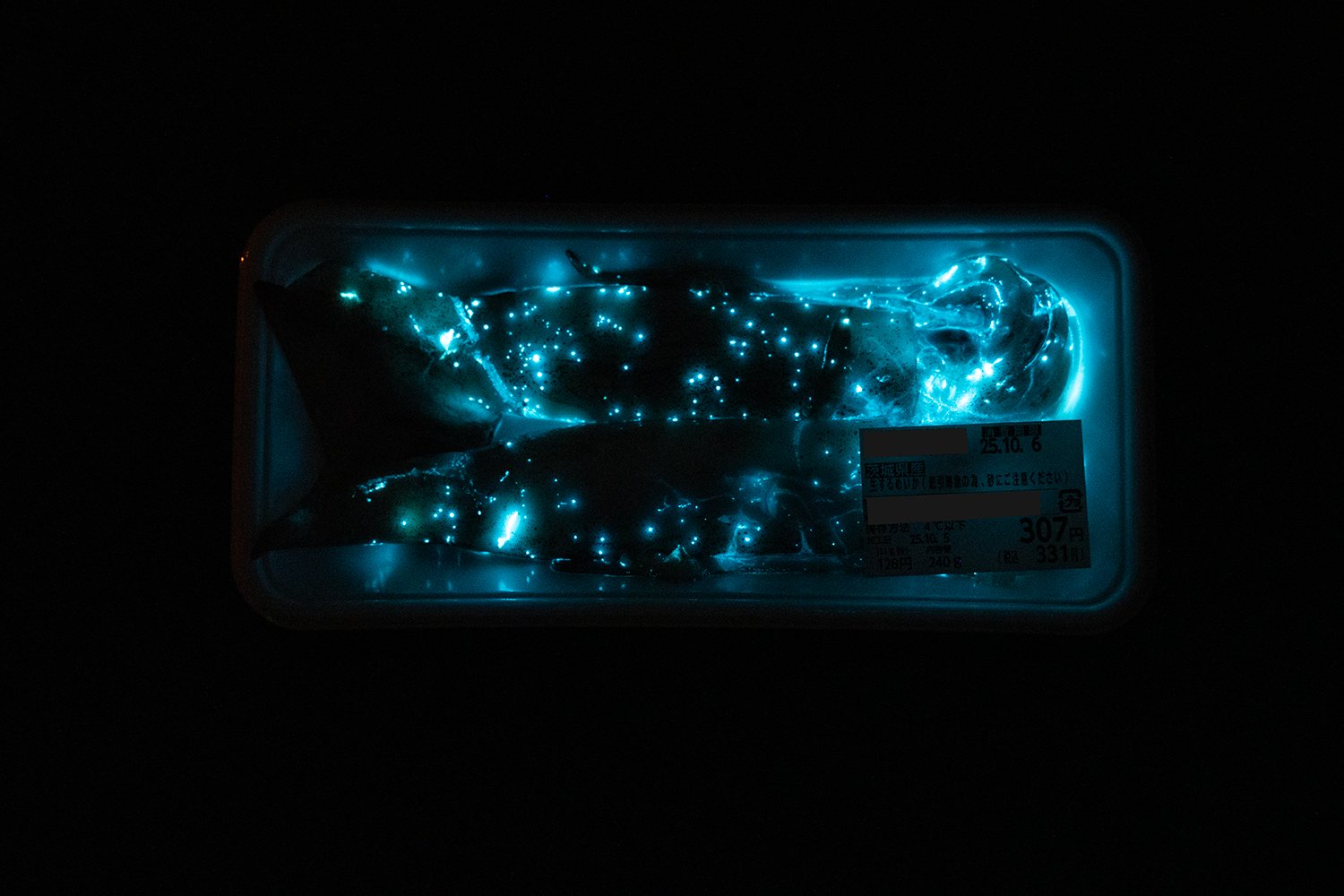 万屋うずまき コンドル ハイマジックマルチワイパー300 スペア | 山崎産業株式