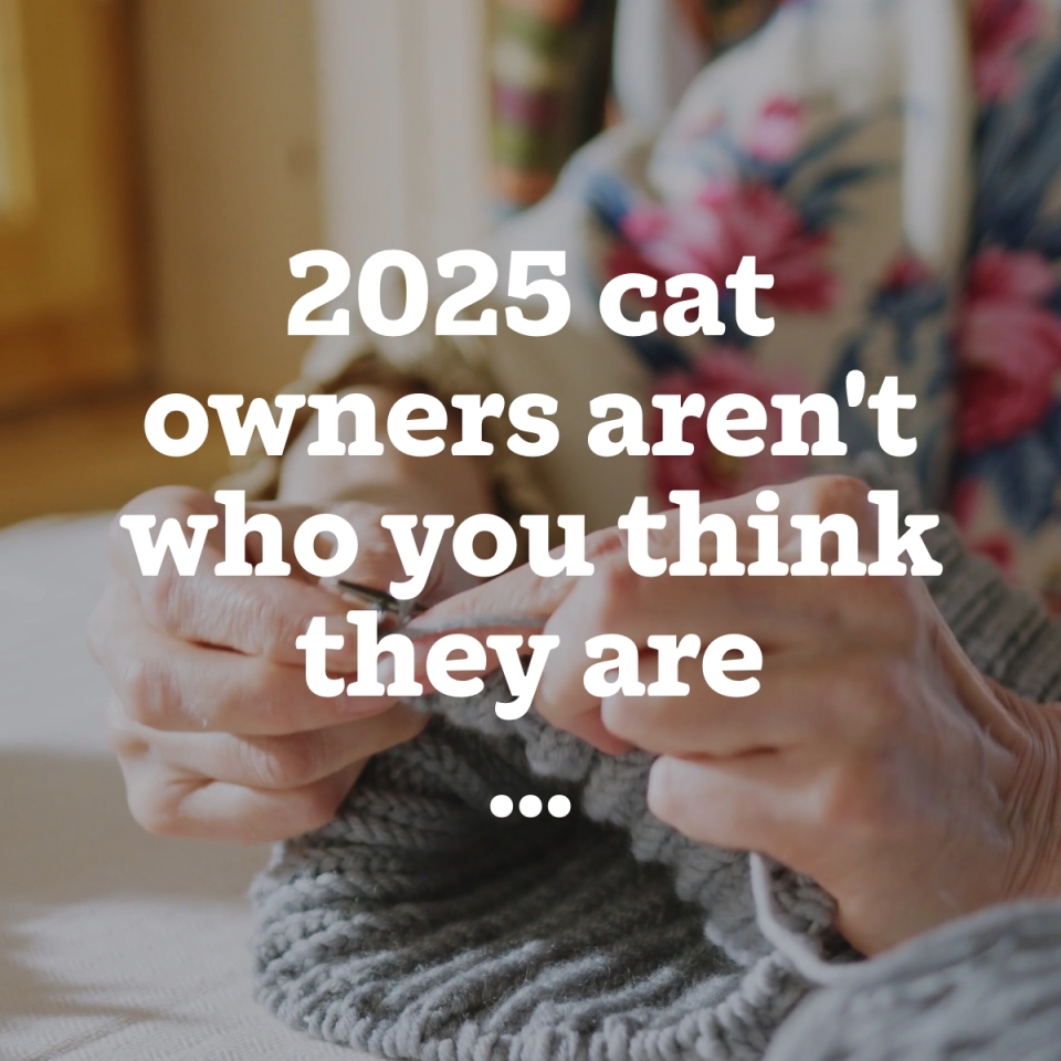 CatsProtection's tweet image. We’ve found three key trends that are causing big shifts in the world of cat ownership: 

🐈 For the first time, over half the cats acquired in the last year were pedigrees rather than moggies. It’s a concern, as many pedigree breeds suffer from genetic health problems.