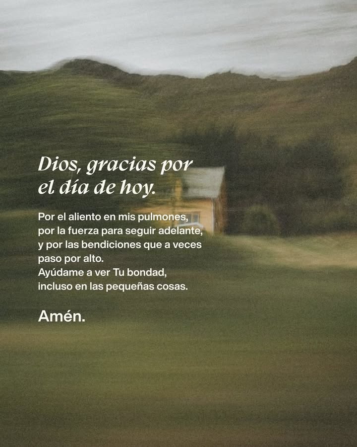 elsiervo__'s tweet photo. https://t.co/P39mVLktSn