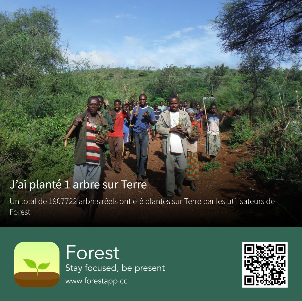 Samuel Quintero (@samuelqh) on Twitter photo 