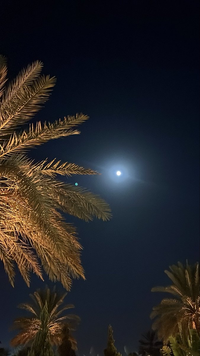 iH6__'s tweet photo. دقيت باب القمر … طلّ آلحـلو علَيـّا . 🌌
،
. https://t.co/tysZY3cOlk