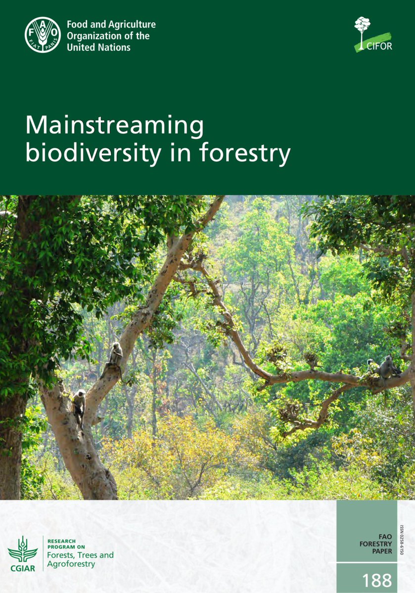 CIFOR_ICRAF's tweet image. Forests host most of Earth’s biodiversity, but millions of hectares are lost each year.
This #publication shows how countries can mainstream biodiversity in forestry through sustainable policies and practices.
Read:🔗 bit.ly/42mi1Pe
#Trees4Resilience #IUCNCongress