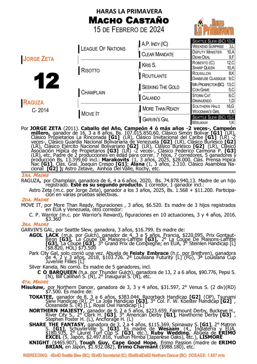 Miren la estampa de este hijo del Campeón Jorge Zeta (League of Nations) en Raguza y nieto del líder Champlain. Nació el mismo día de Seattle Slew 15 de Febrero. Otra línea materna de lujo en nuestra Presentación Yearlings 2025. #SomosLaPrimavera #Hipismo #8Octubre #LaRinconada