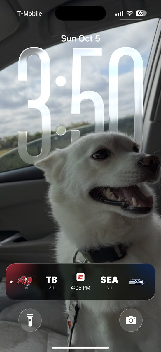 BatsFL's tweet image. I’m ready