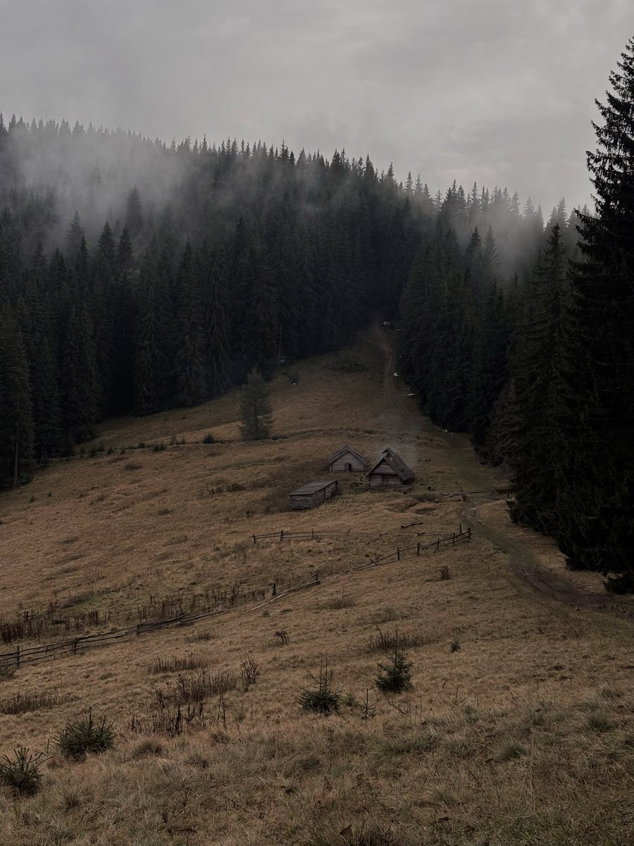 я бачила красу 
і ви подивіться