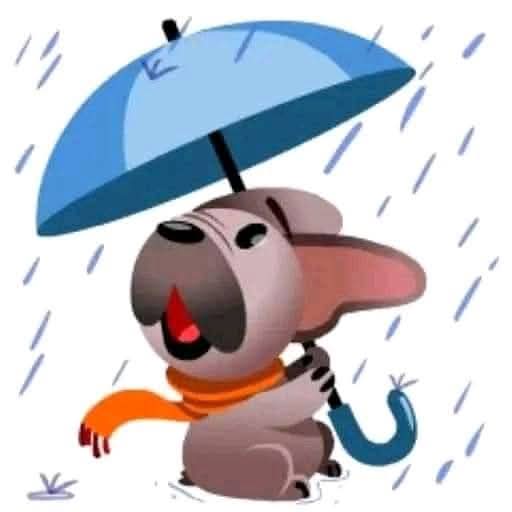 ExwinAlv's tweet photo. @CuentaMister https://t.co/nbhHgPshYP