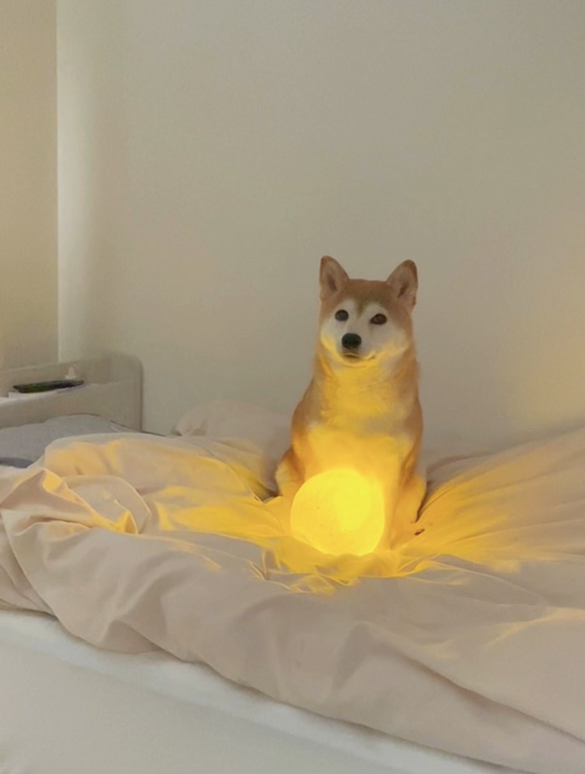 じゅんじゅん (@junjun4300) / X