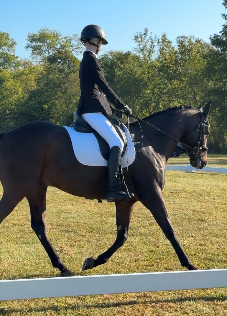 AmandaGeaney's tweet image. Taylor and Maximillion won a blue ribbon at the Middle Tennessee Horse Trials, scoring 29.2 in dressage and going double clear in cross country at the novice level.

Great weekend! Lovely venue. 

#eventing #sporthorse #eventinghorse #arkansasequestrian #bradleyequestrianteam