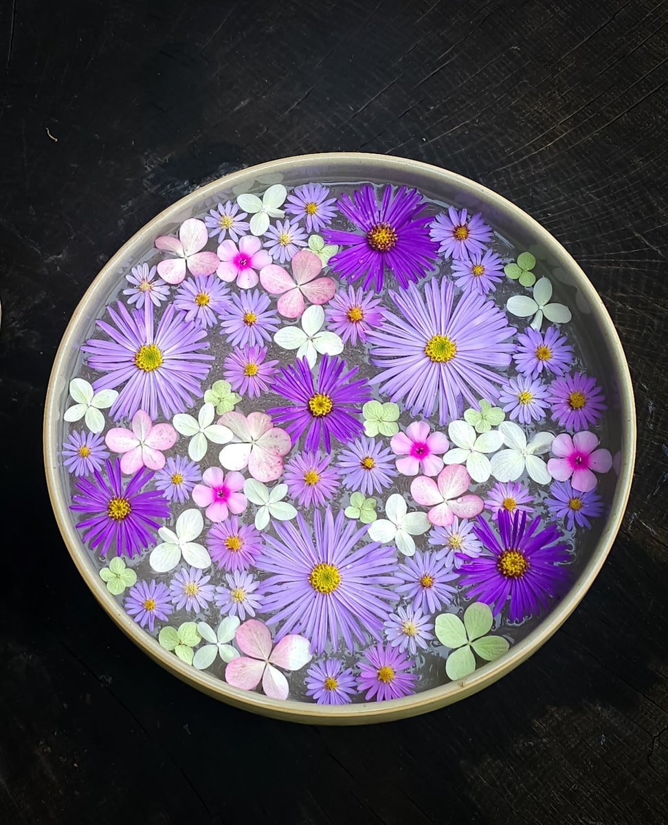 On every Saturday open day in <a href="/JohnsGardenAsh/">John's Garden</a>, we gather a selection of seasonal flowers and float them in a bowl or two. This was originally to display blooms such as hellebores, which bowed their heads from the winter elements. It has now become a feature throughout the year.