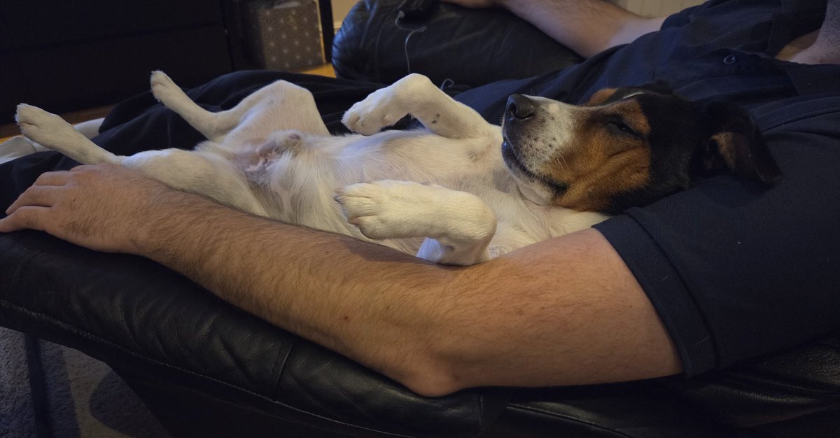 Maren Østbø tweet media