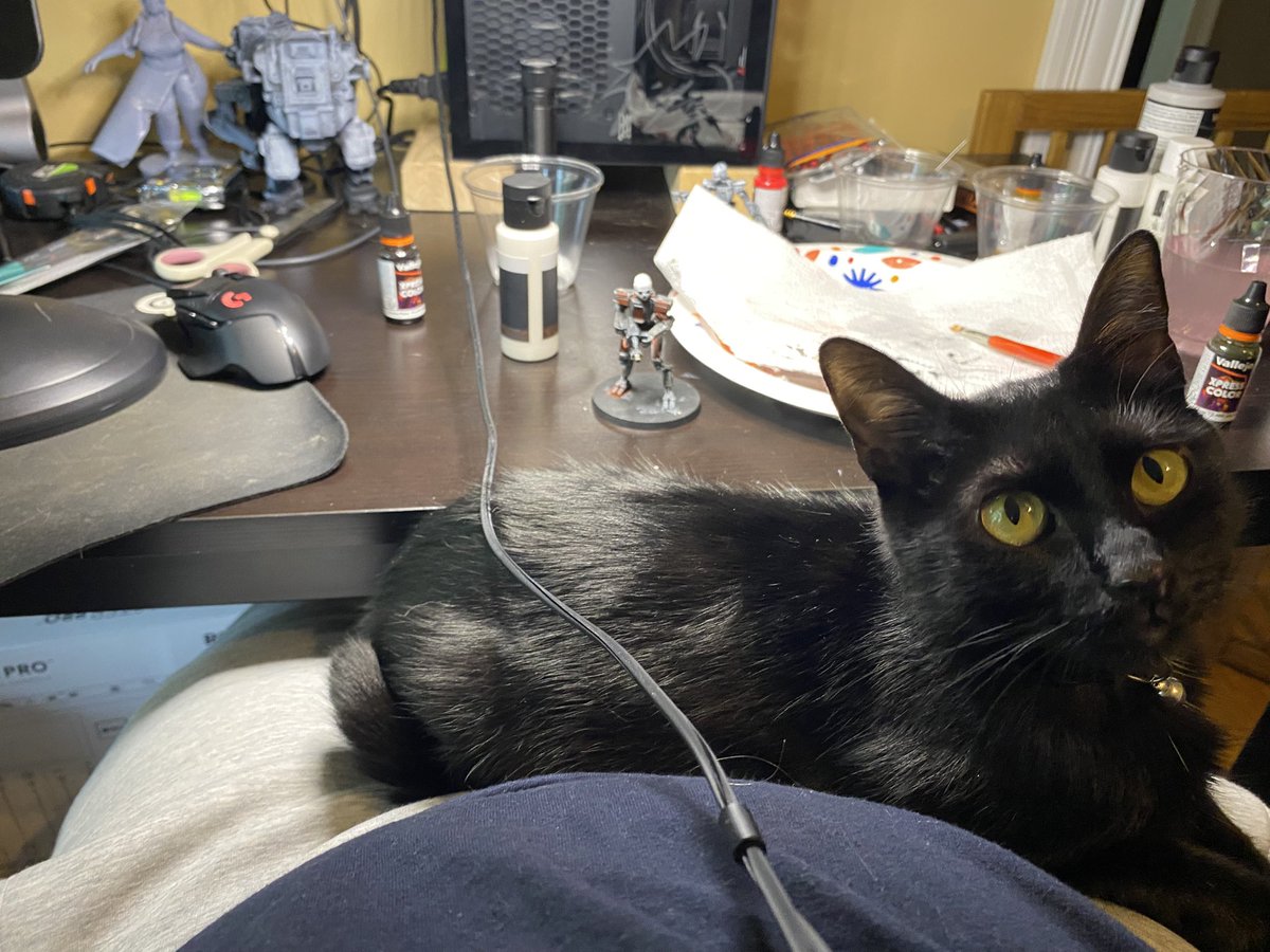 🖌️🐈 Knoo 🔜FWA 26 tweet media