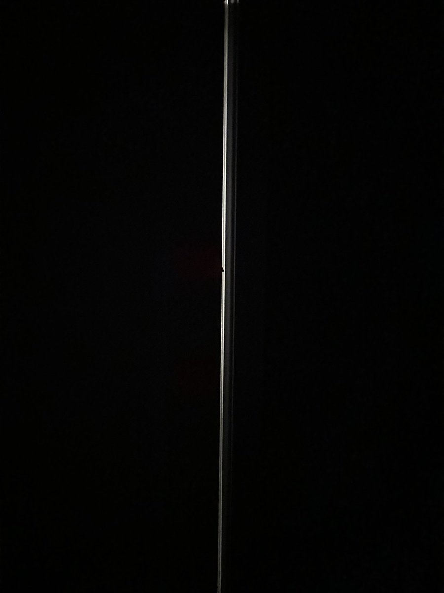 presley 🧸 tweet media