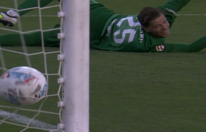 الغريزة الذكورية :