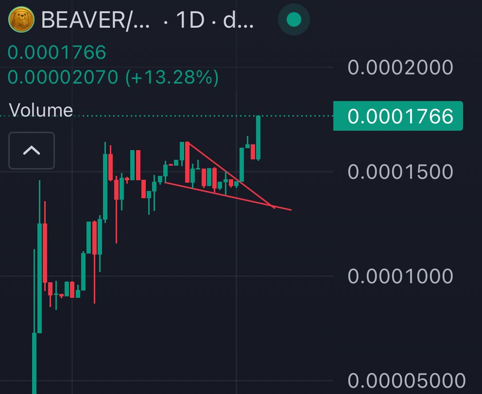 alex_moody's tweet image. Observing 🧐

$BEAVER