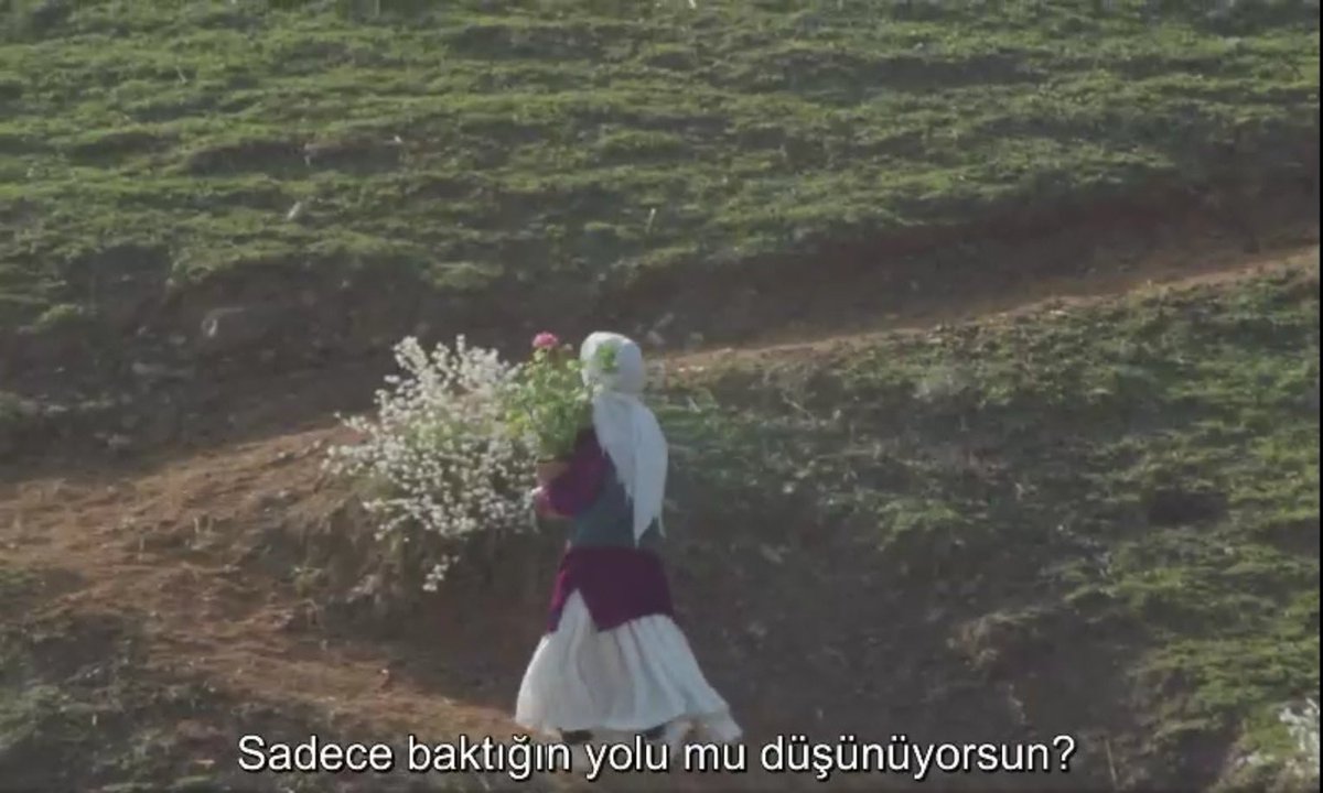 "sadece baktığın yolu mu düşünüyorsun?"

zeytin ağaçları altında.
abbas kiyarüstemi.
1994.