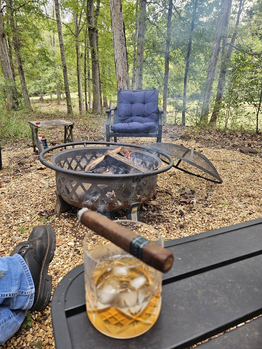 Fight the Dark tweet media