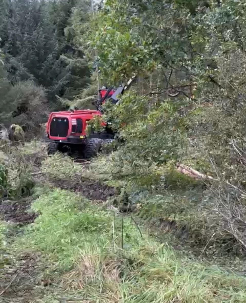 Save Leitrim tweet media