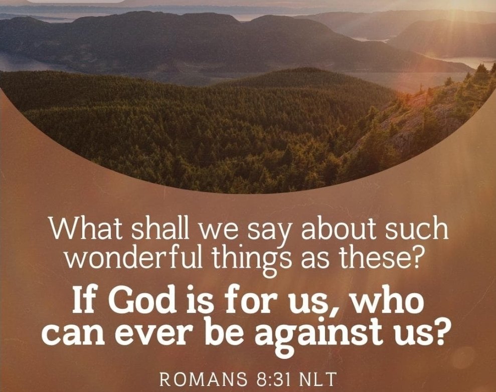 🇺🇲🇺🇸Made in the USA🇺🇲🇺🇲 (@usamade1983) on Twitter photo 