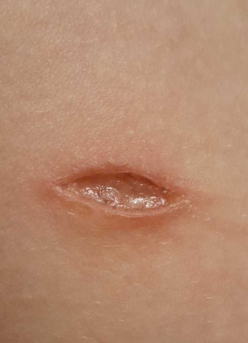 witheredcals's tweet photo. why does it look so clean https://t.co/C5DIMOVU52