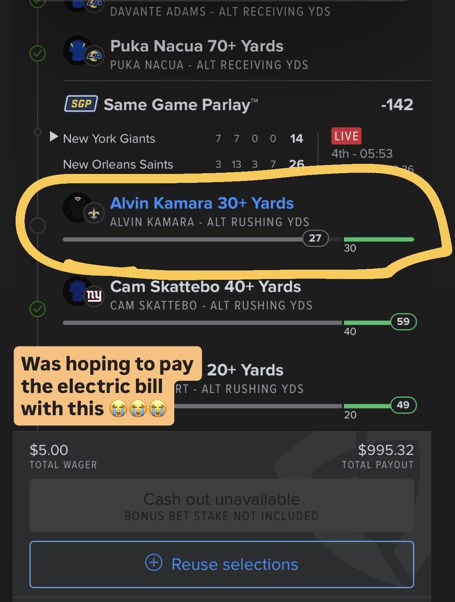 Veronica 🦁 tweet media