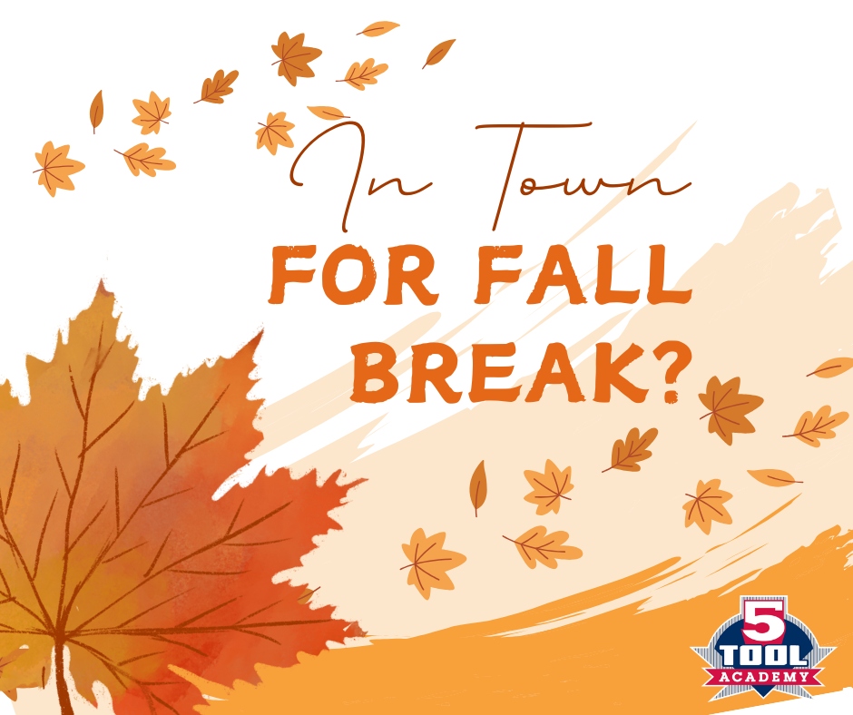 5ToolAcademy's tweet photo. Are you in town for Fall Break? Most 5 Tool instructors are too! Jen, Grahm, and Peyton all have daytime lesson availability this week if you want to get your work in during the day.

Some daytime cage rentals are available.

Contact info@5tool.net or 765.730.4426 to schedule. https://t.co/YUqe4ATZH3