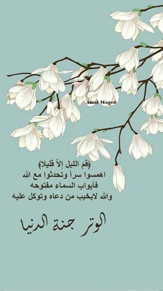 Alreem_464's tweet image. #الوتر_جنة_القلوب 
#ذكر_الله