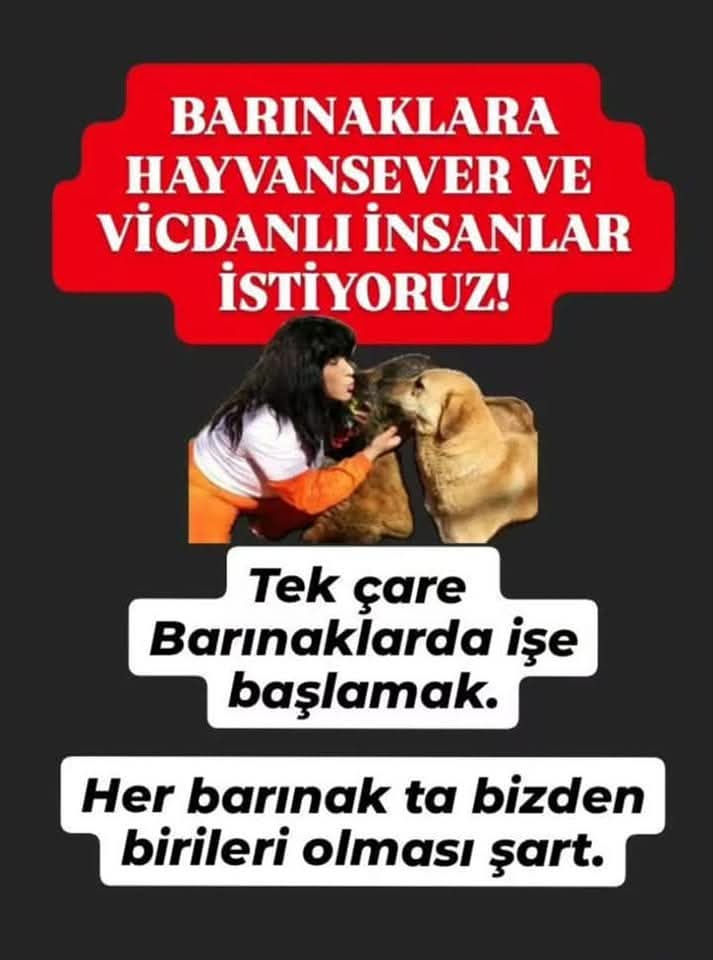 semrababacan_'s tweet photo. https://t.co/ajd3HSwQCr