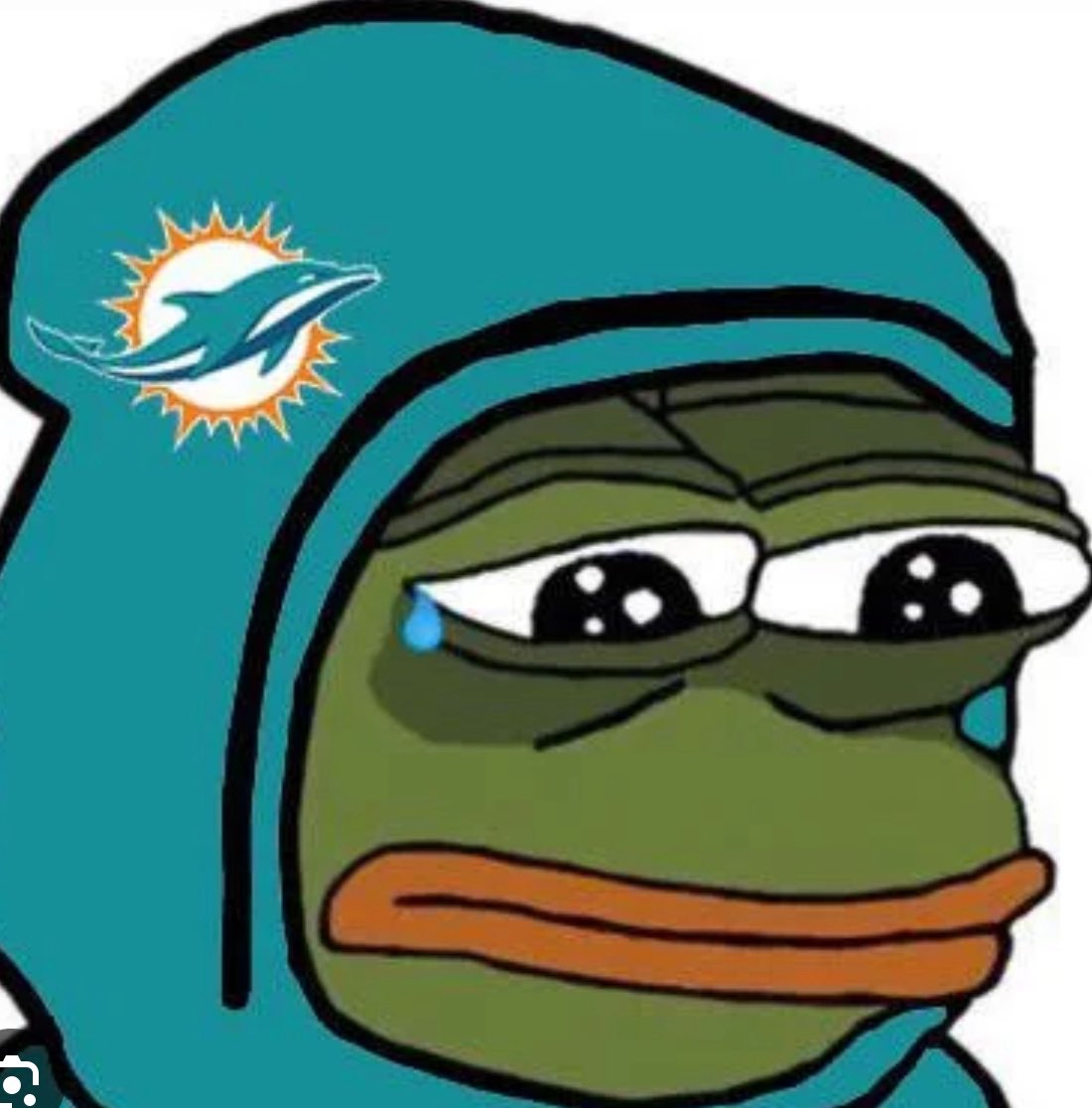 AKCJones81's tweet photo. Weekly NFL feeling… #dolphinssuckagain https://t.co/a8nZqnGxZS