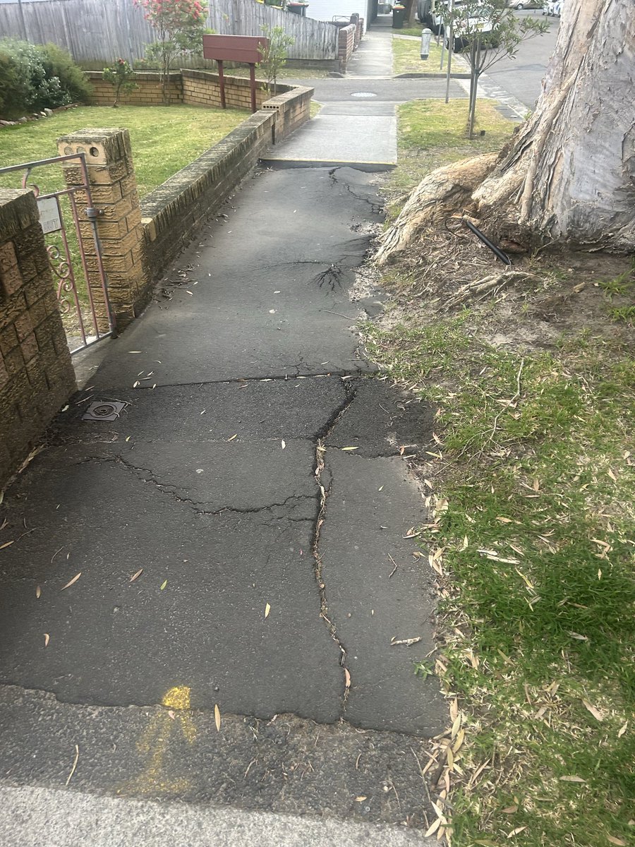 KingofCoogee's tweet photo. @RandwickMayor supervising more quality footpaths. Do your job rather than your woke agenda. Think about the less mobile. #KaraSt https://t.co/klvxPA1bmm