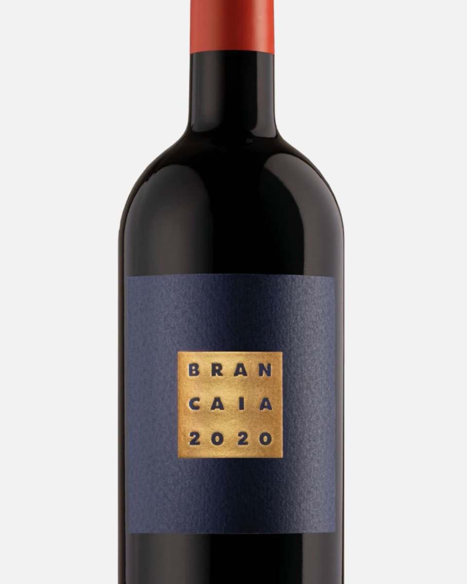 Tuscany's greatest wines were born from rebellion.

When winemakers refused to play by the rules, they didn't just break tradition, they created a movement. 

Super Tuscans emerged as Italy's most audacious statement: bold blends, visionary farming, and wines that commanded