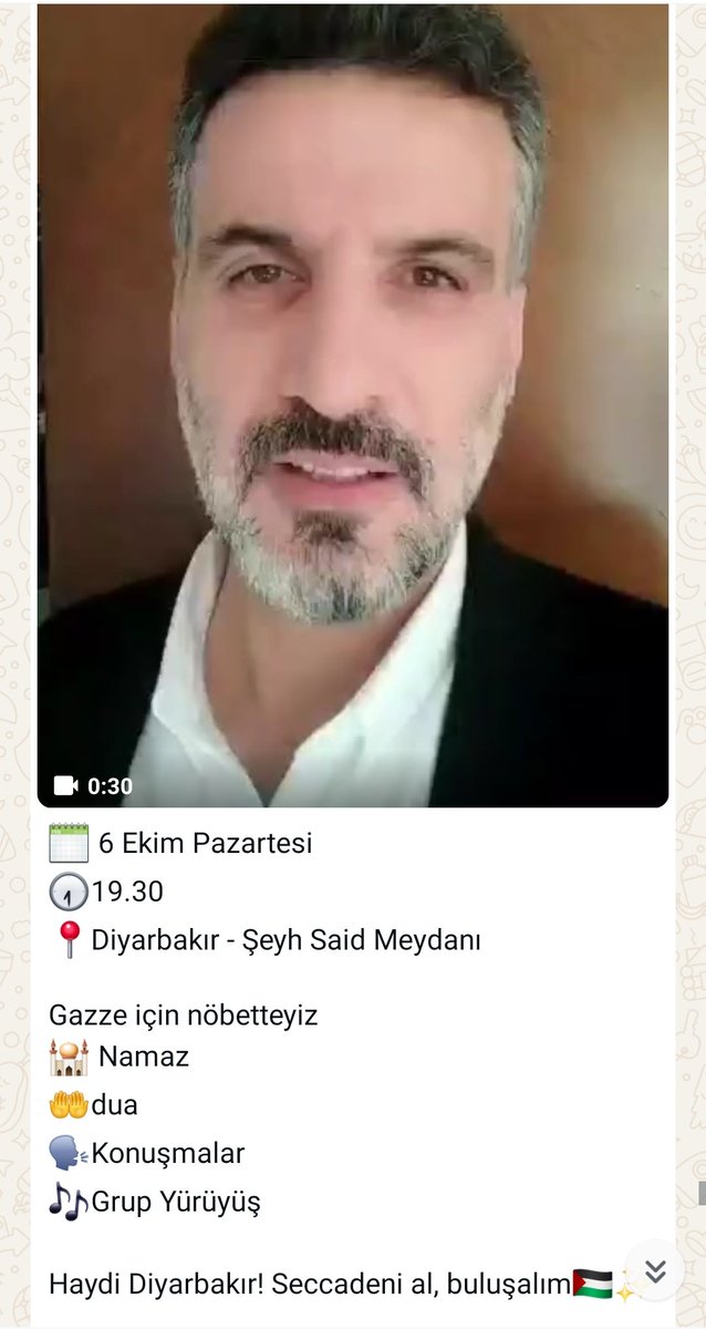 #GazzeİçinYürüyoruz Diyarbakır