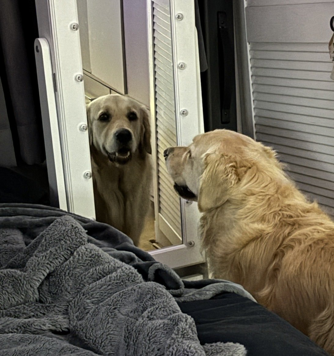 He knows he’s a dog