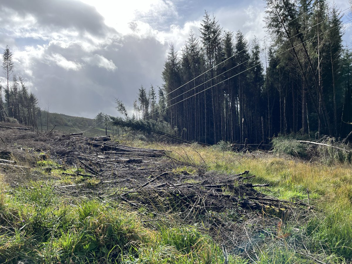 <a href="/SaveLeitrim/">Save Leitrim</a> <a href="/ESBNetworks/">ESB Networks</a> <a href="/coilltenews/">Coillte</a> <a href="/leitrimcoco/">Leitrim County Council</a> <a href="/LeitrimLive/">Leitrim Observer / Leitrim Live</a> <a href="/ShannonsideFM/">Shannonside FM</a> <a href="/OceanFmIreland/">OceanFM Ireland</a> <a href="/agriculture_ie/">Dept of Agriculture, Food and the Marine</a> <a href="/SaveKerry/">Save Kerry</a> <a href="/_FIIreland/">Forest Industries Ireland</a> <a href="/Martin_Kenny/">Martin Kenny</a> This is W. Cavan yesterday. Conifers down again on the line to water treatment plant. Inadequate setbacks cut after storm Eown.