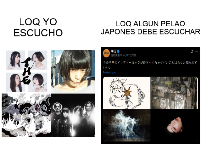 Praw™ (⁠─⁠.⁠─⁠|⁠|⁠) tweet media