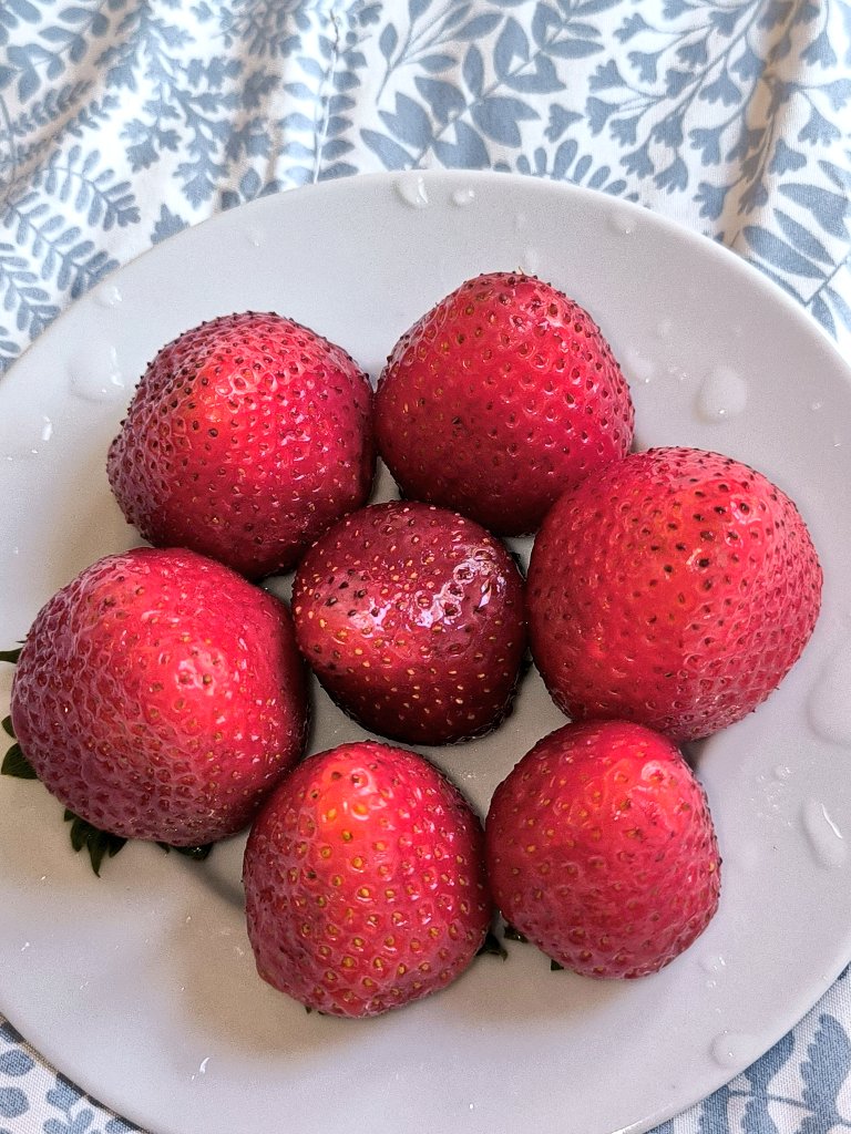 DevoraCast420's tweet photo. Domingo de comer fruta 🍓🍒

VENTA DE CONTENIDO XXX Y VIDEOLLAMADAS HOT 😈😈😈🫰🏻🤑
#Chiclayo #ventadecontenidoxxx #sexy #shemalle #travestichiclayo #scortchiclayo #ninfomama #peruanas #peru #lima https://t.co/saXA424GfR