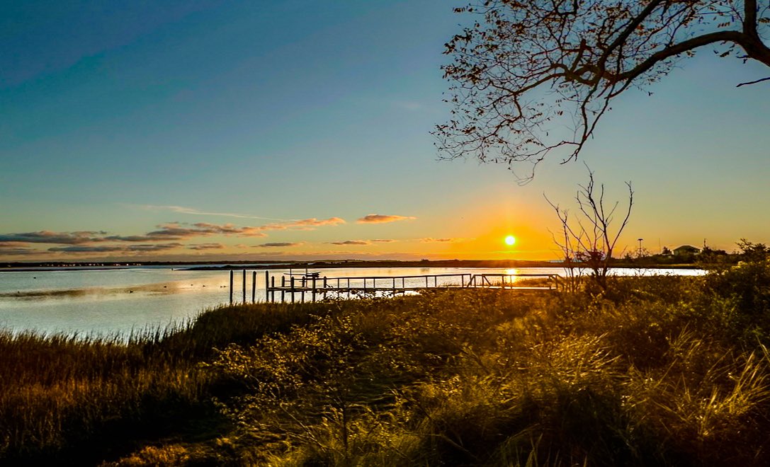 lightand_life's tweet image. Fall on Cape. 
Love love love it. 
#capecod