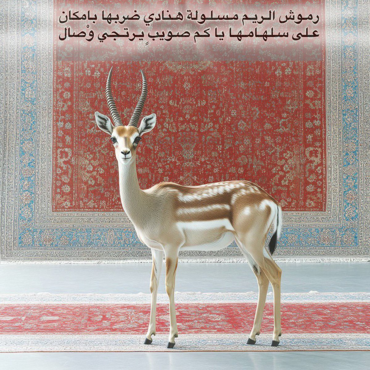 عزام tweet media