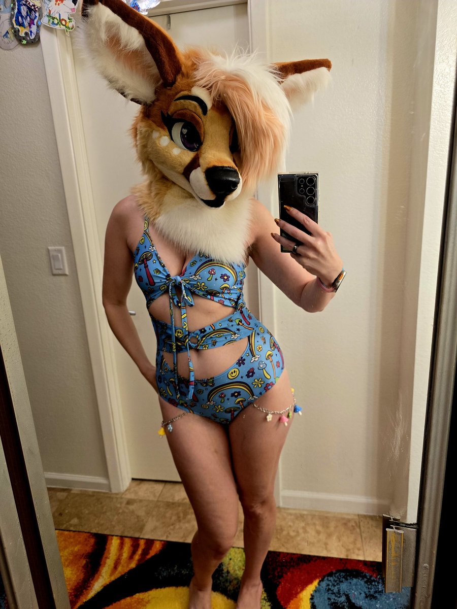 Splat Fennec 🔜 LVFC tweet media