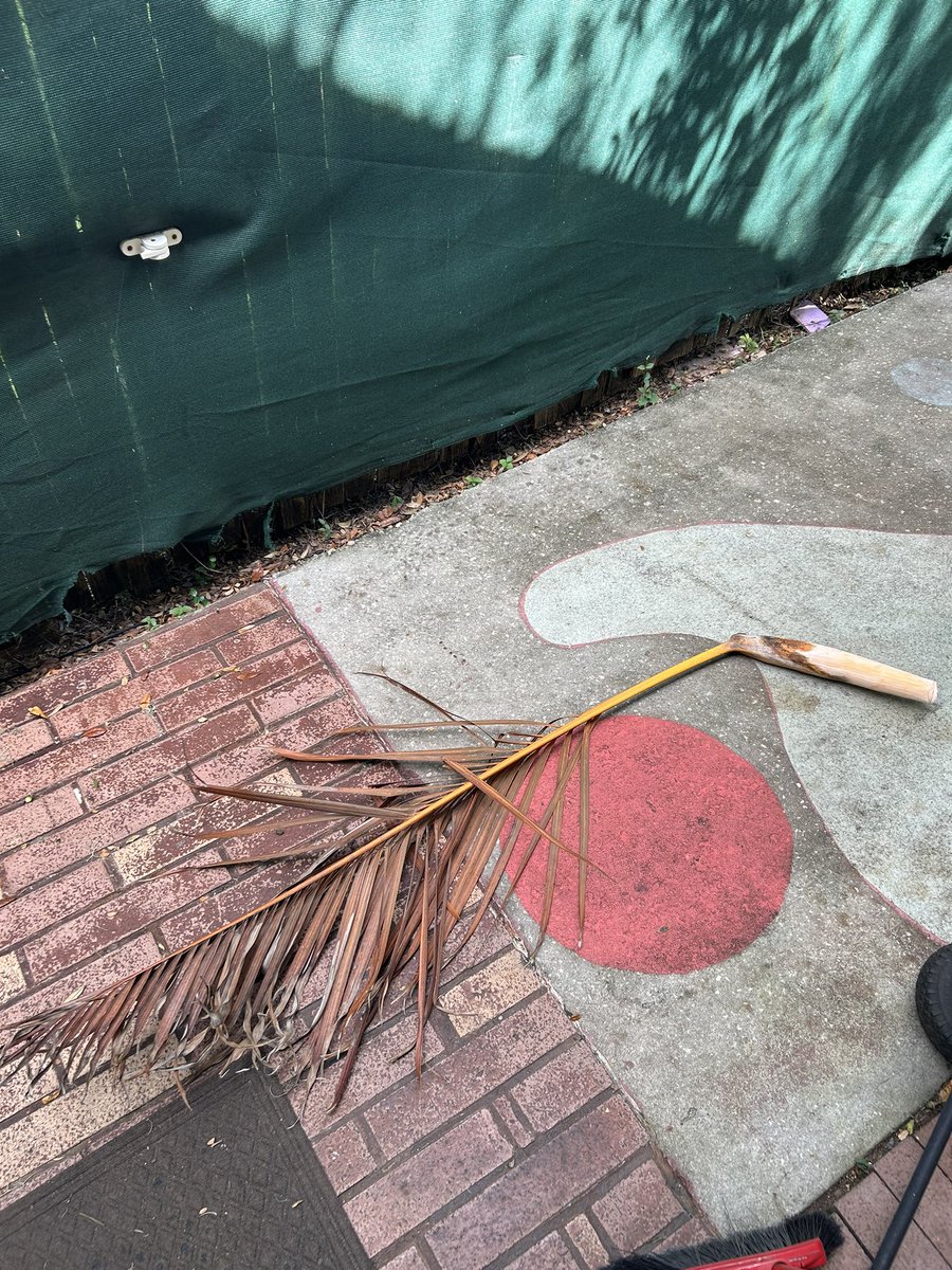 MegLisa13's tweet image. My ode to #fallinflorida 🤣
#Fall #Florida #funny