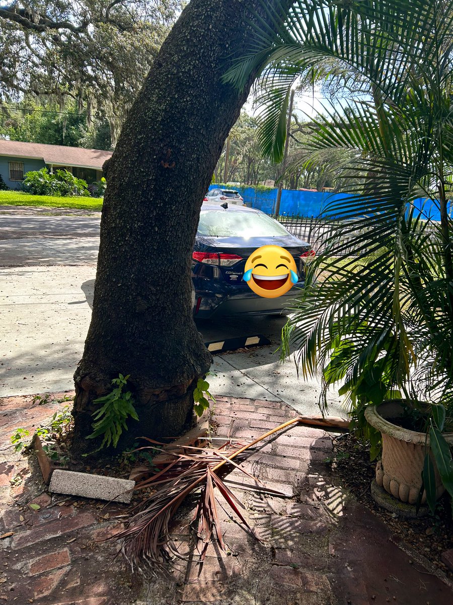 MegLisa13's tweet image. My ode to #fallinflorida 🤣
#Fall #Florida #funny