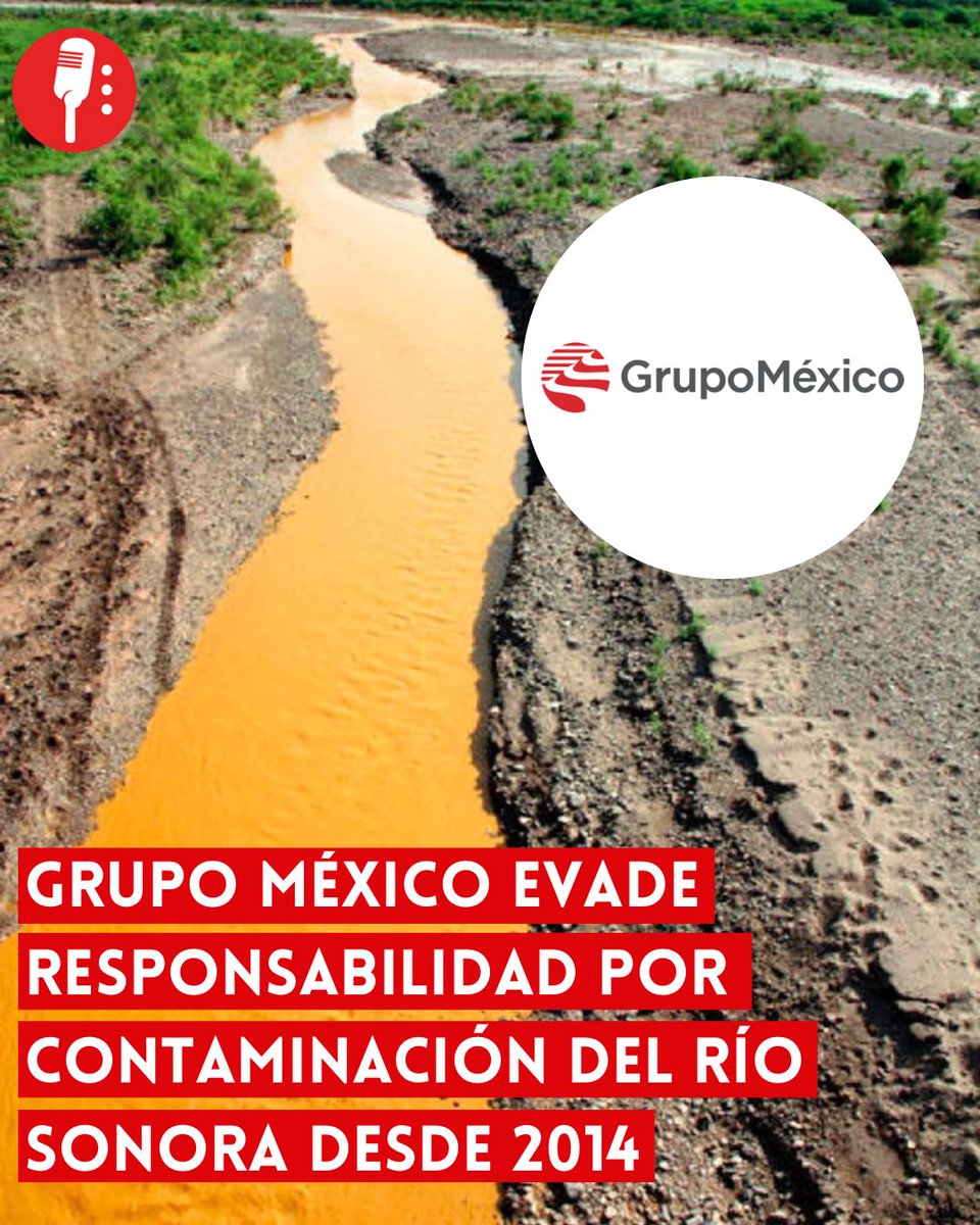 ReporterosMX_'s tweet photo. ⭕️OJO | GRUPO MÉXICO EVADE RESPONSABILIDAD POR CONTAMINACIÓN DEL RÍO SONORA DESDE 2014

Desde el 6 de agosto de 2014, cuando un derrame de 40 mil metros cúbicos de sulfato de cobre acidulado afectó al Río Sonora, Grupo México (@GMexico_oficial), propiedad de Germán Larrea, ha buscado evadir su obligación de remediar los daños ambientales y compensar a las comunidades afectadas. https://t.co/tSzPphibH9