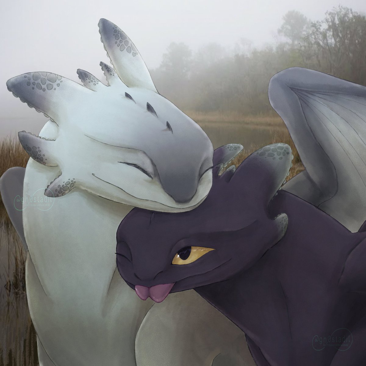 🌾🪾#HTTYD