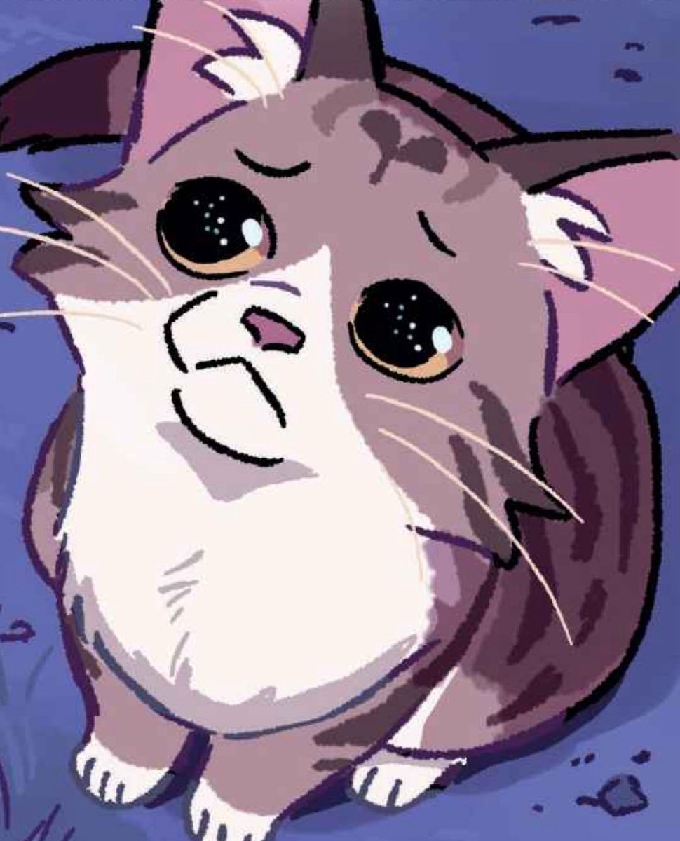 sol — ☀️ basically moth flight tweet media