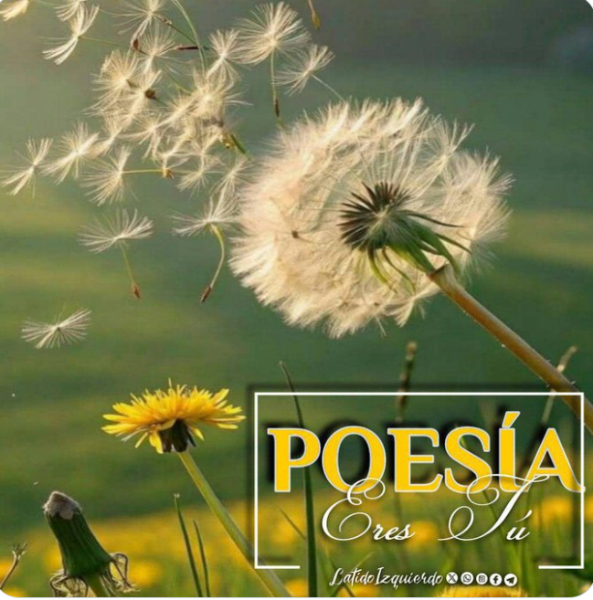 <a href="/Latido_Izquierd/">Latido Izquierdo</a> <a href="/sternschnuppenz/">Shooting star</a> <a href="/AlexdelaSerna2/">Alex de la Serna</a> <a href="/rmandoVersos/">Armando F A</a> <a href="/elicardenas39/">elisa cardenas</a> <a href="/Bustingorri721/">SIEMPRE EN MÍ 💜</a> <a href="/RusiaBencomo/">Rusy Bencomo.❤🕊</a> <a href="/jureamarte/">𝐉𝐮𝐥𝐢𝐨 𝐀. 𝐏𝐚𝐝𝐮𝐚 …🖌️</a> <a href="/annamariadg0107/">Ana María❤️💙💜</a> <a href="/BohemioDeMarzo/">𝙰𝚋𝚒𝚖𝚊𝚎𝚕.</a> <a href="/ElenaVirgenHid2/">Elena Virgen Hidalgo Figueredo</a> "Poesía eres Tú" 🌹
<a href="/Latido_Izquierd/">Latido Izquierdo</a> ♥️
Cultivo una rosa blanca
en junio como en enero
para el amigo sincero
que me da su mano franca.

Y para el cruel que me arranca
el corazón con que vivo;
cardo ni ortiga cultivo;
cultivo la rosa blanca