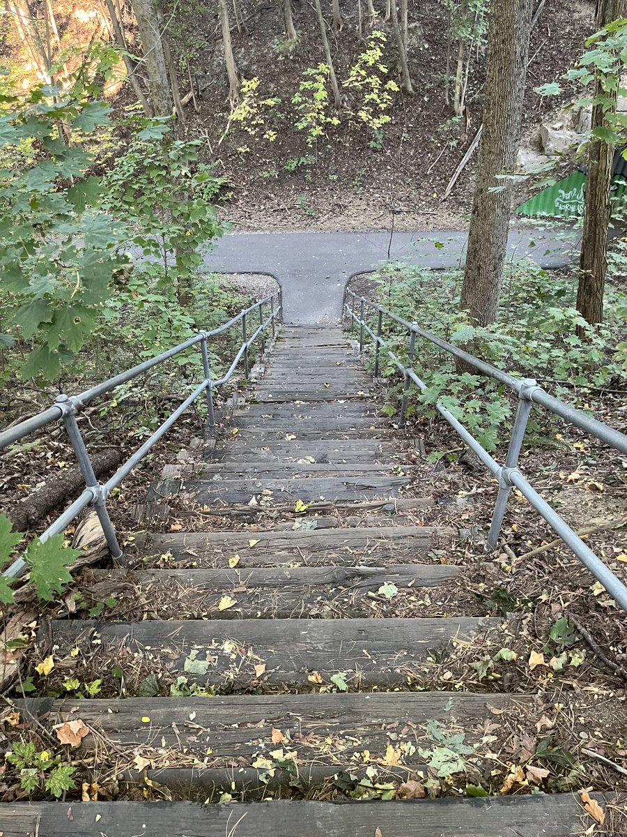 There may not be a hand to hold or to guide but there is always a place to put your palm. There is always one more step. There is always another adventure.