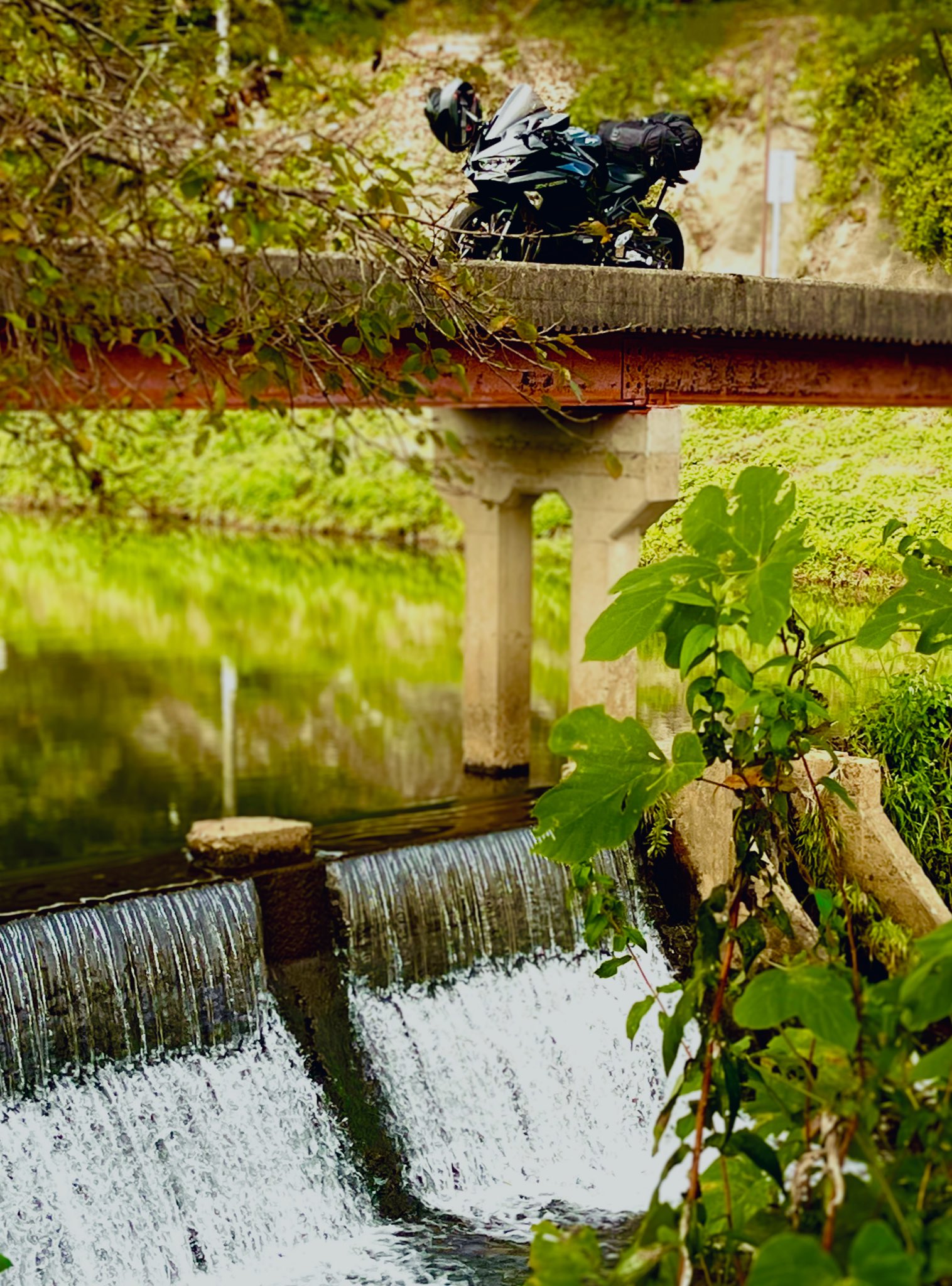 saorin🫧 (@saorisen1209) / X